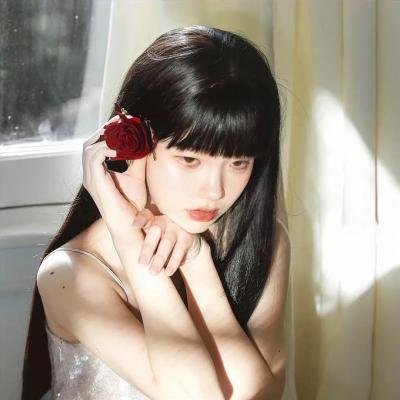 野良与皇女与流浪猫之心 封面