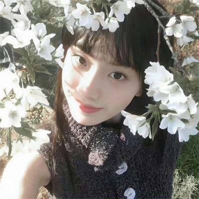 母女菀 封面